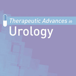 Therapeutic Advances in Urology Logo