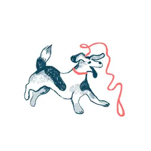 Ausreißer Hund