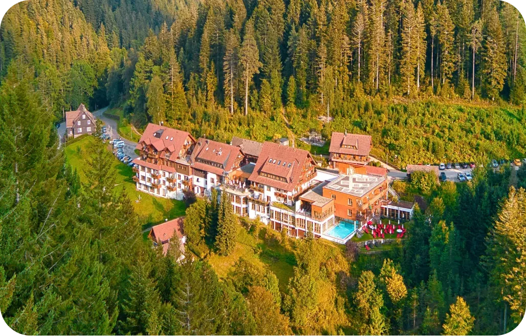 Hotel Forsthaus Auerhahn hero image