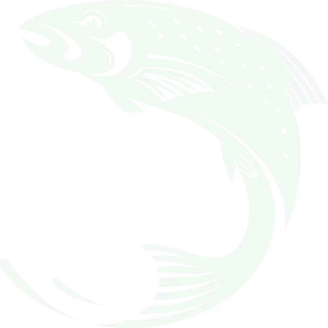 The Singleton fish logo mark on dark teal background.