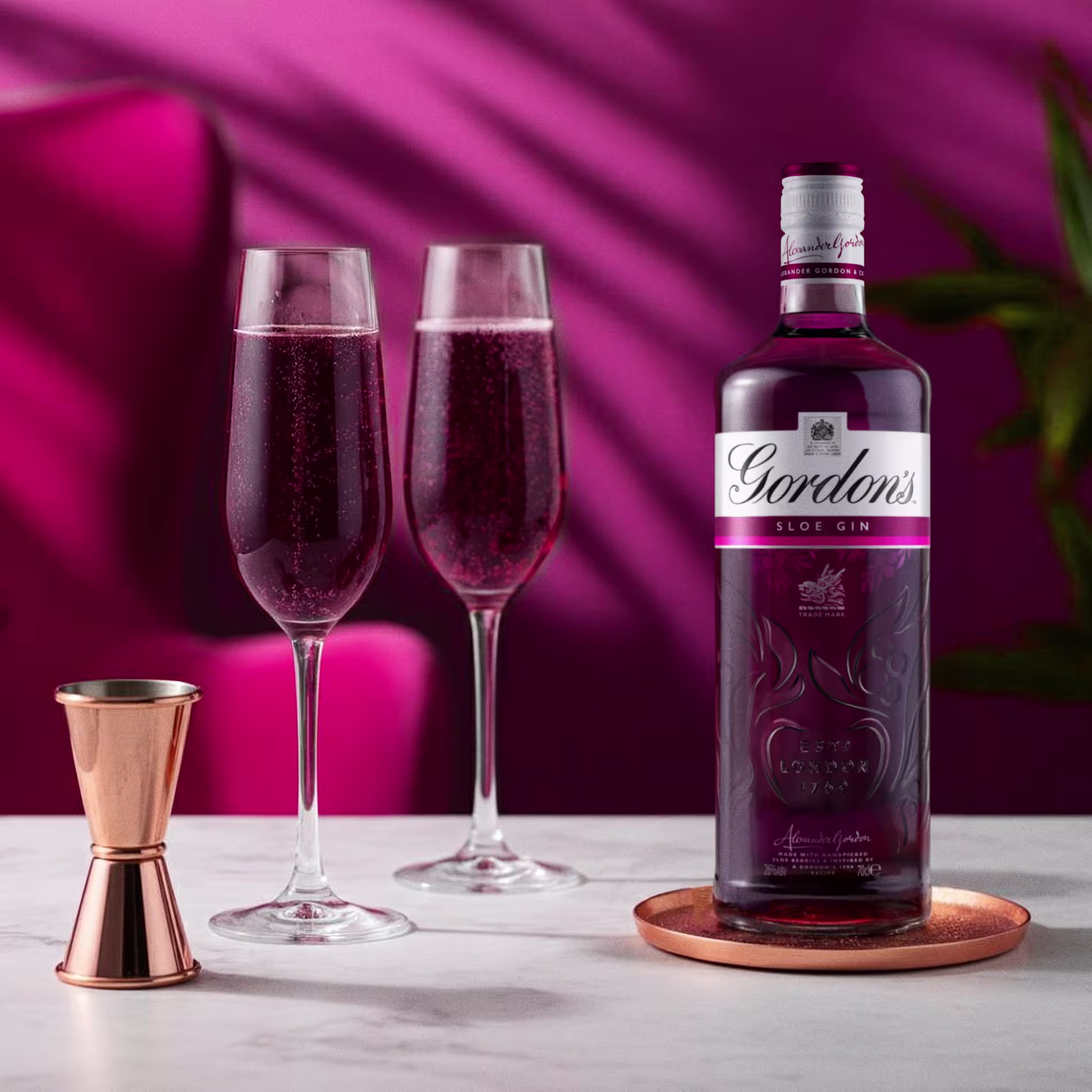 Gordon's Sloe Secco Winter