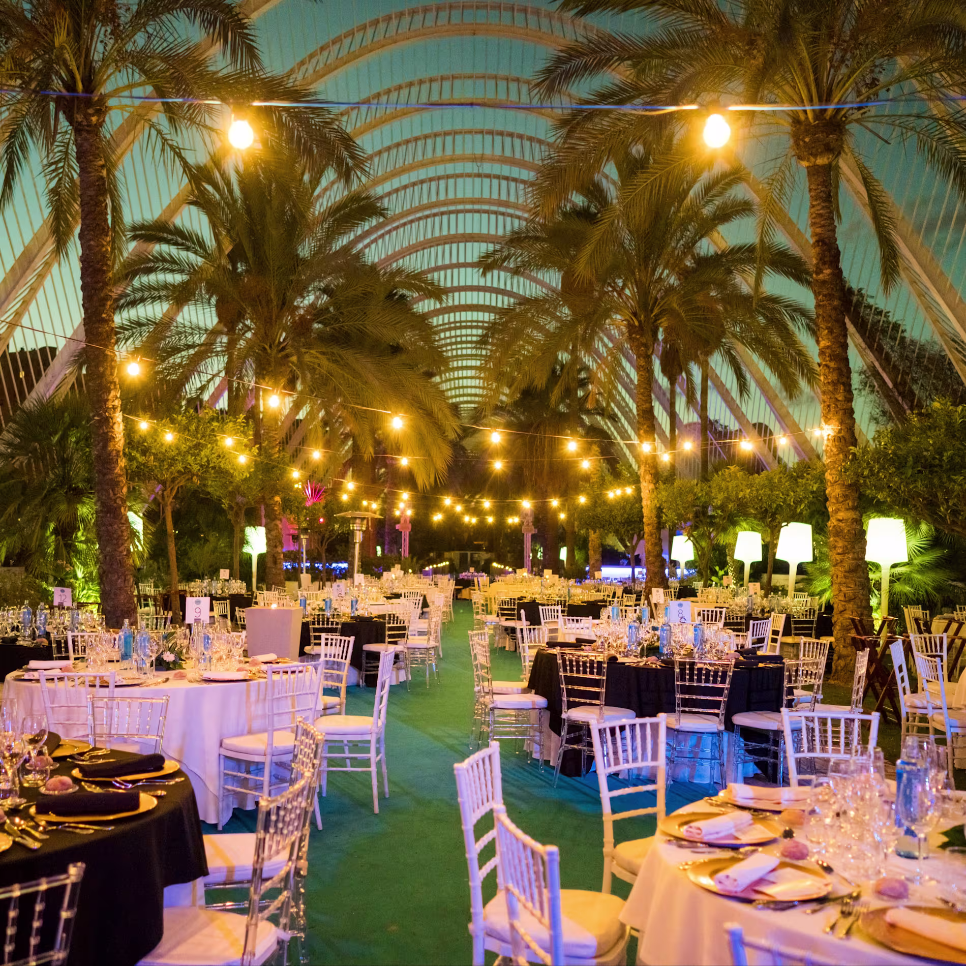 The Bar | L’Umbracle - Cena de gala en L’Umbracle con mesas elegantemente preparadas bajo las palmeras y luces colgantes en un ambiente sofisticado.