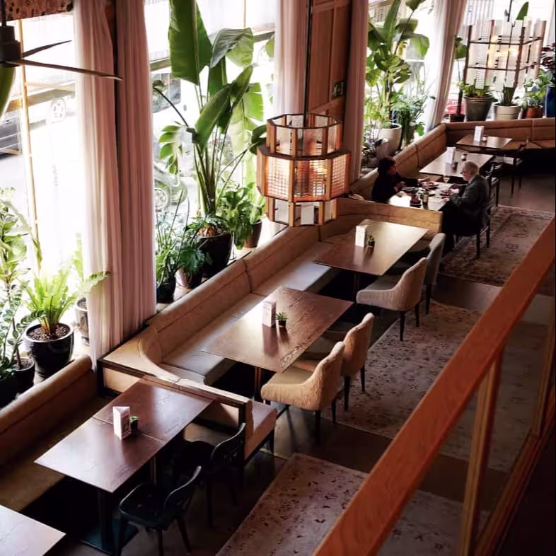 Interior de Casa Suecia, lleno de plantas y luz natural, con mesas elegantes que invitan a una experiencia acogedora.