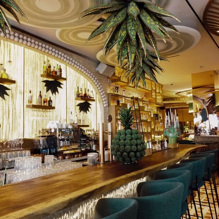Bakan, un bar vibrante con decoración exótica, barra de madera, detalles únicos y un ambiente que mezcla modernidad y naturaleza.