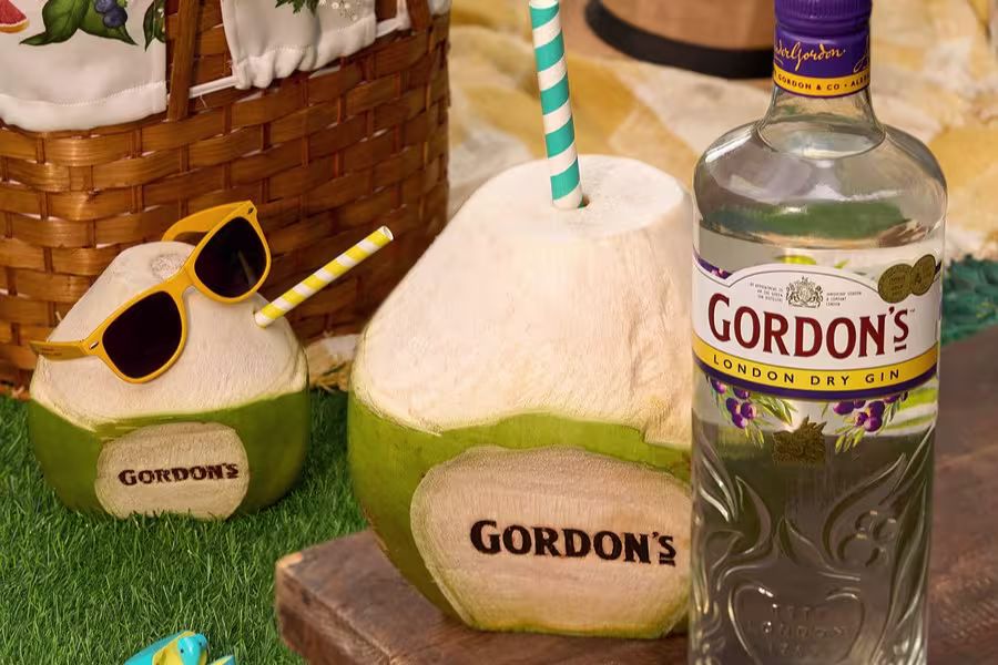 A bottle of Gordon’s London Dry Gin next to two coconuts with straws, one wearing sunglasses, on grass beside a picnic basket.