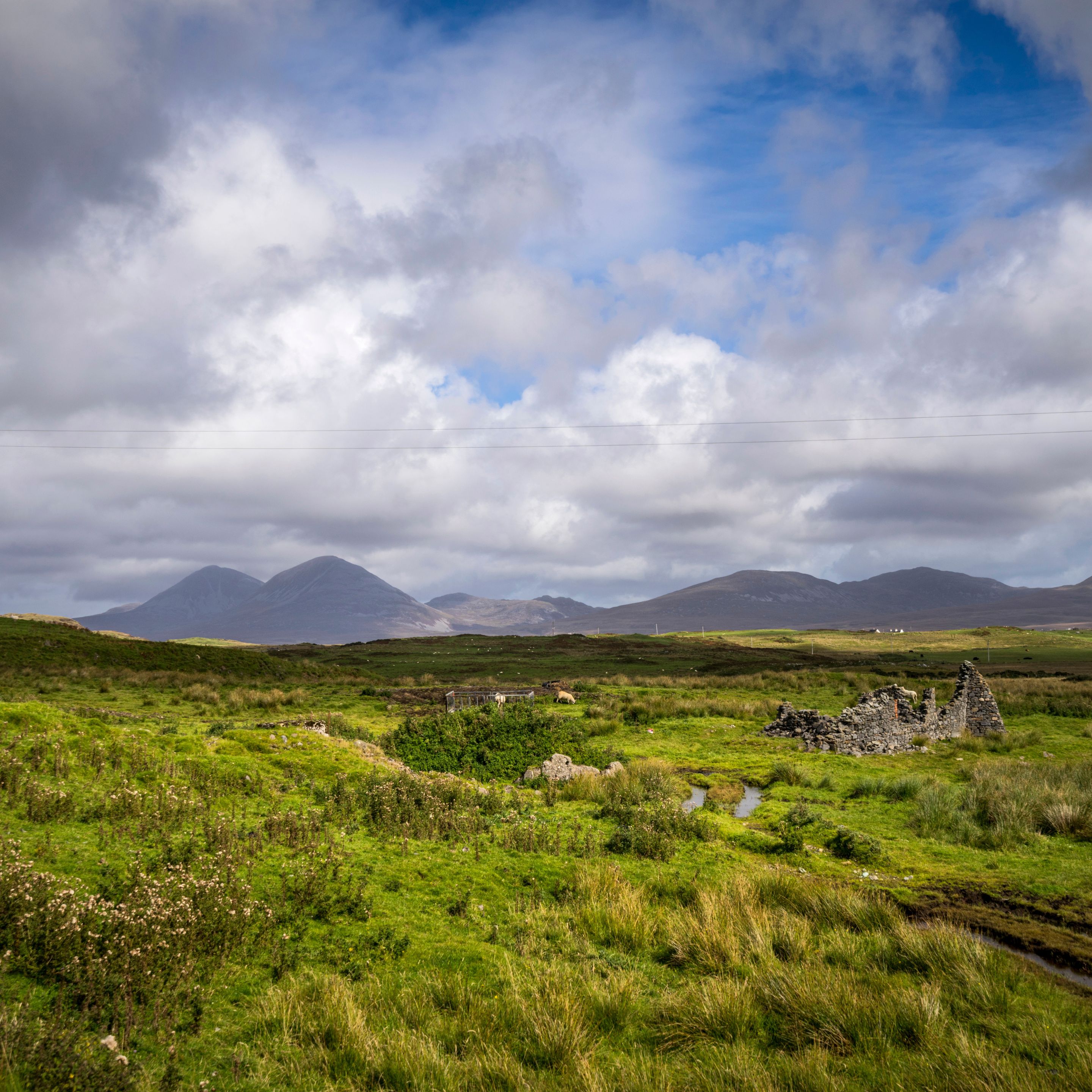 Landscape in Islay, Scotland, featuring hills and fields