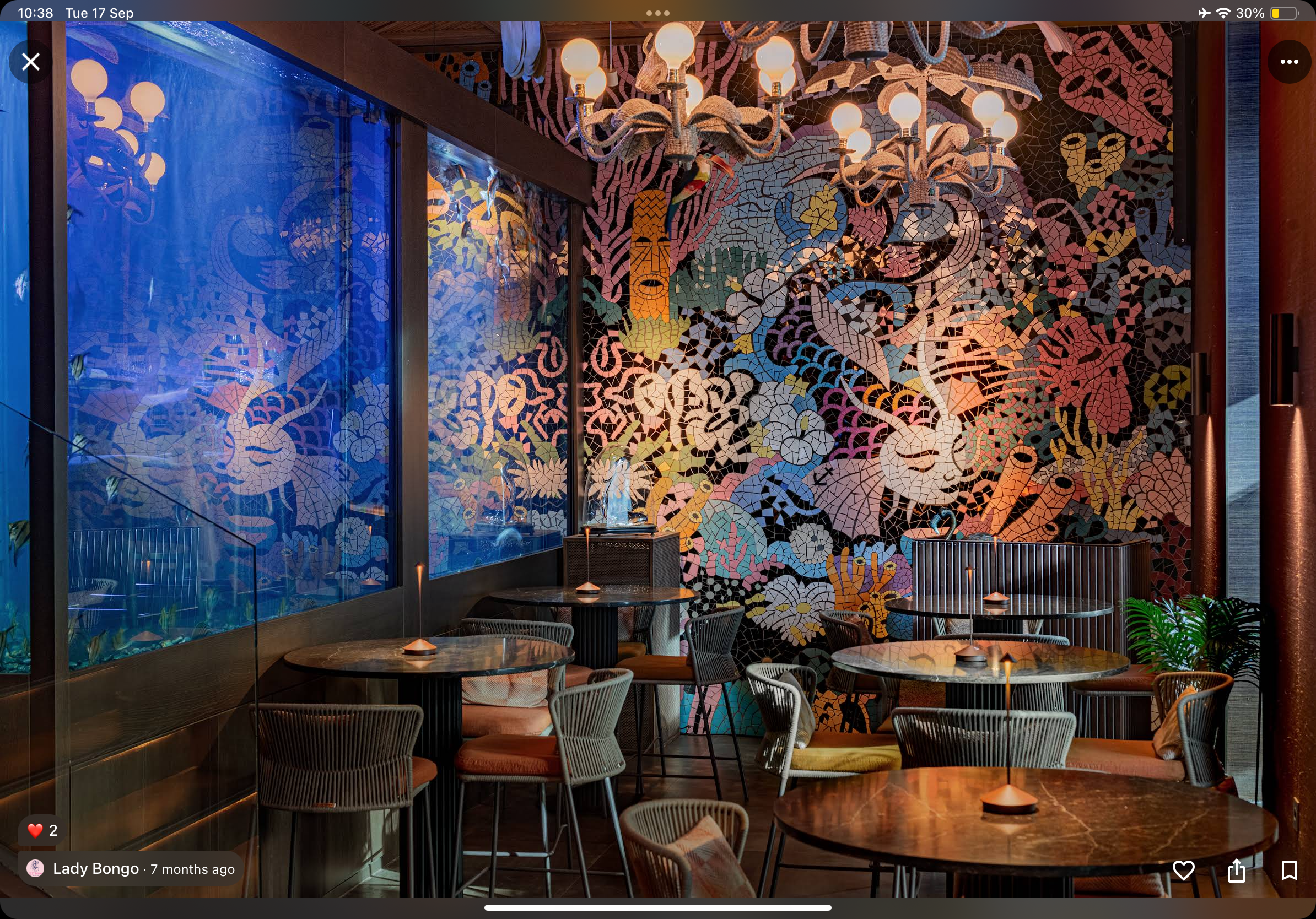 "El interior del restaurante Lady Bongo con un ambiente moderno y cálido. Hay taburetes altos frente al mostrador, y la pared del fondo está llena de estantes con varias botellas de alcohol."