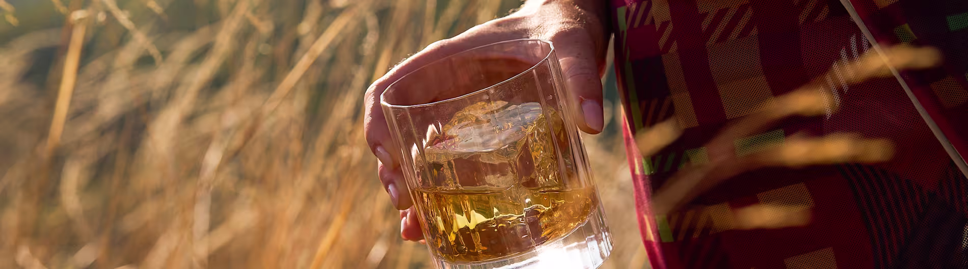 Hand holding a glass of whisky with ice, set against tall golden grass in natural light