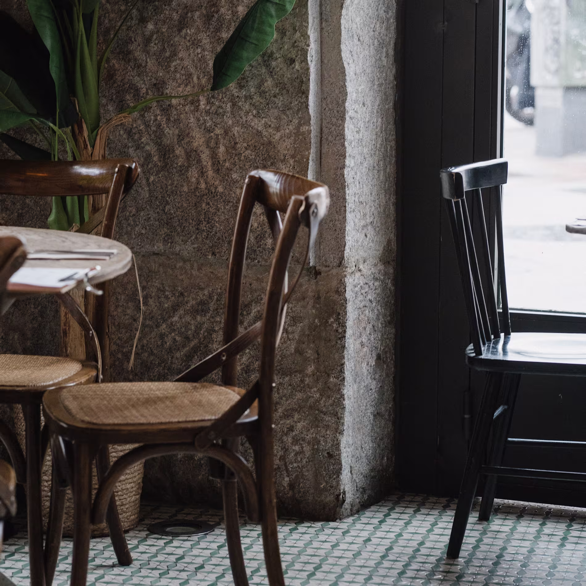 La foto muestra una pared interior del Ficus. Hay cuadros y obras de arte enmarcadas en la pared, una estantería con una fila de vasos y dos lámparas colgantes del techo.