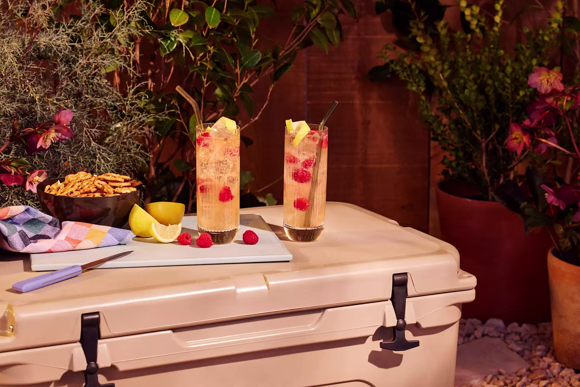 Two tall glasses with a lemon and raspberry drink sit on a cooler next to a bowl of pretzels, a lemon, and a colorful napkin, surrounded by potted plants.