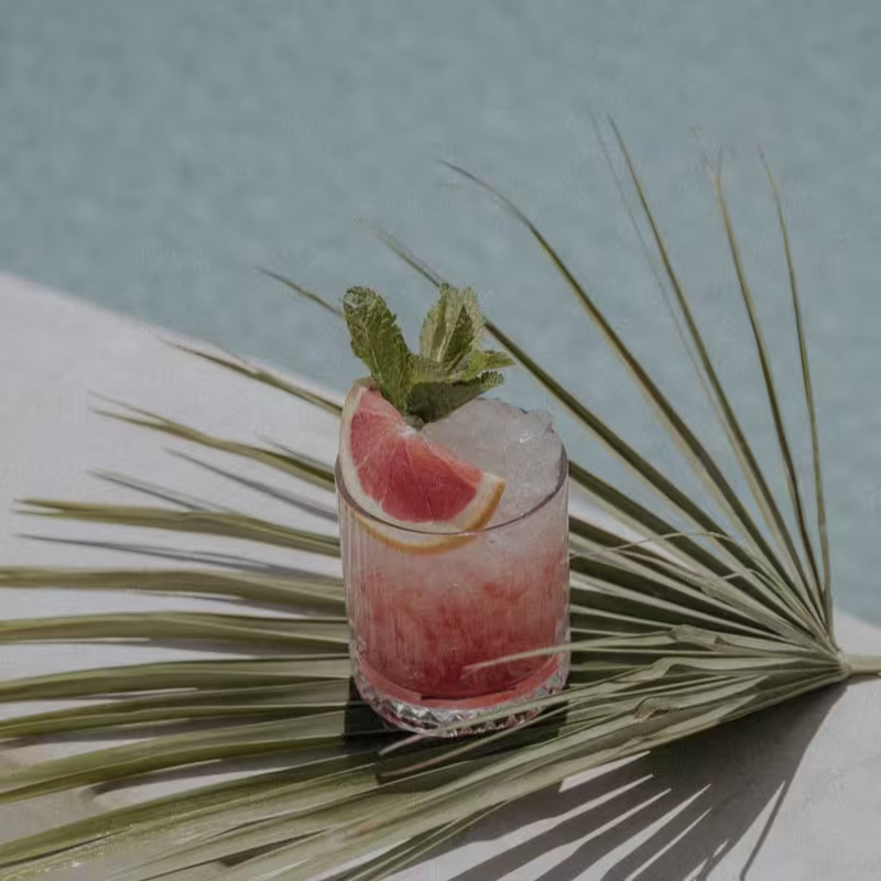 Nido Beach Club Estepona ofrece un ambiente relajado junto al mar, ideal para disfrutar de un cóctel refrescante mientras se contempla el paisaje.