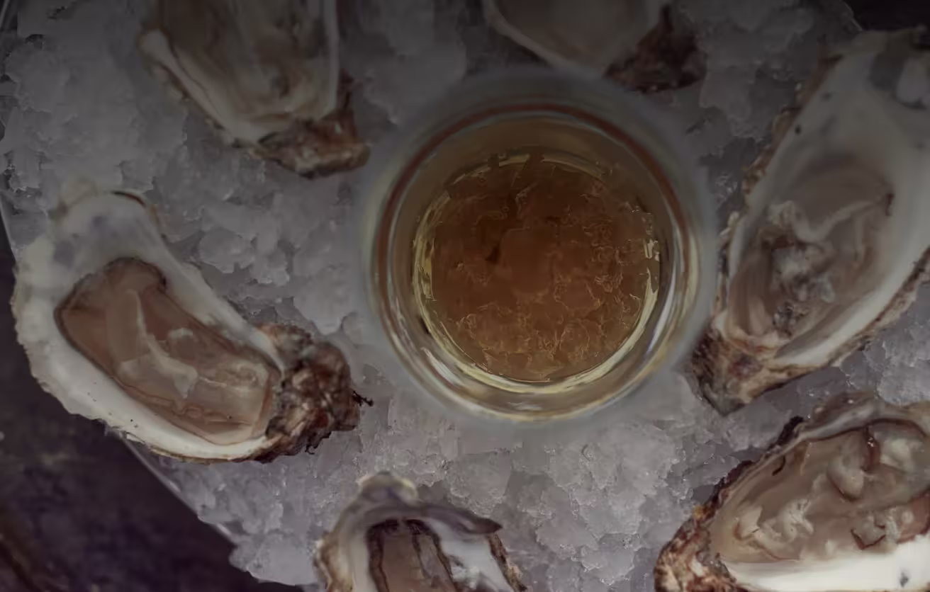 Un círculo de ostras sobre hielo rodeando una copa de whisky Talisker
