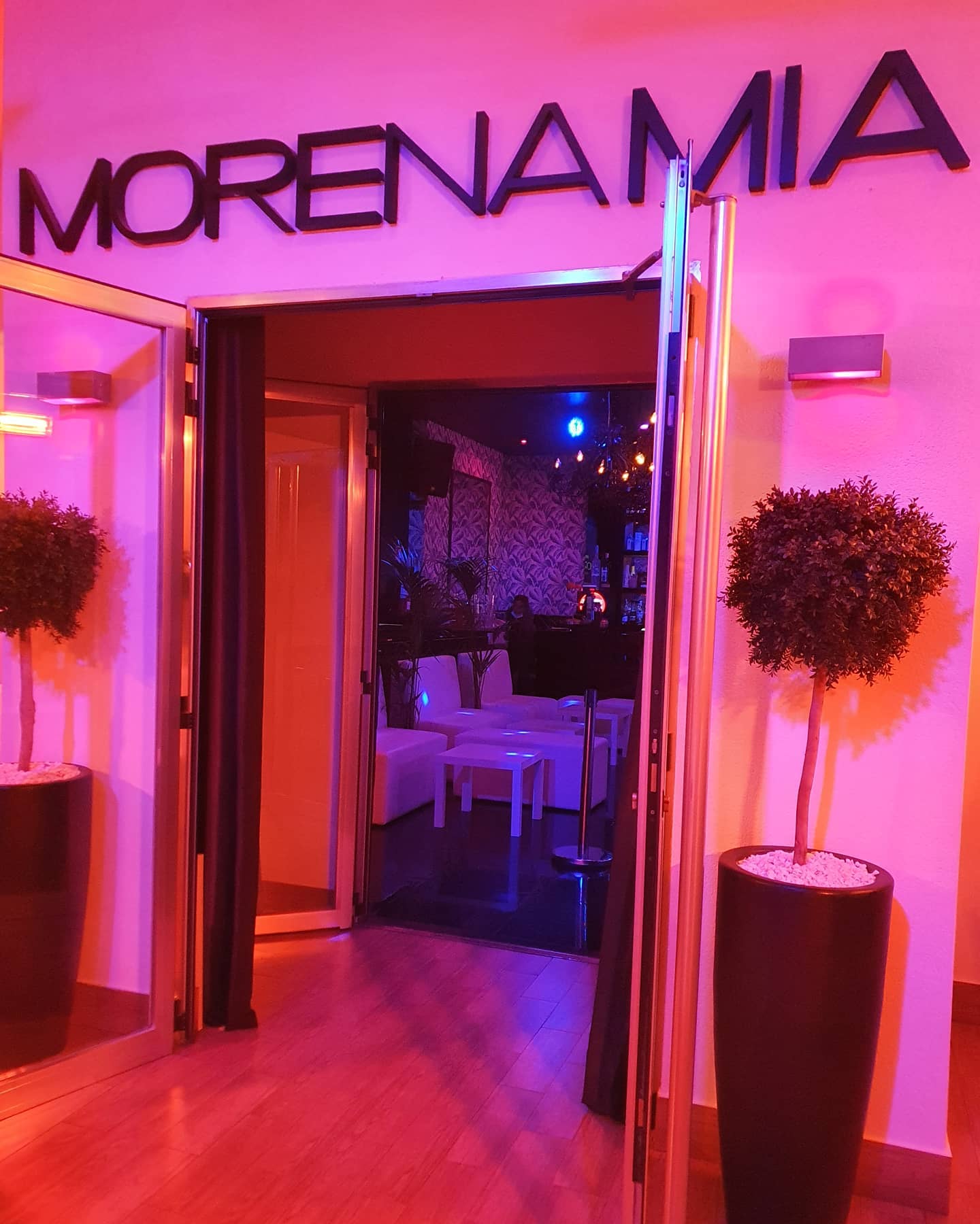 Entrada iluminada de Morena Mía con decoración moderna, plantas en macetas y un interior con ambiente elegante y acogedor.