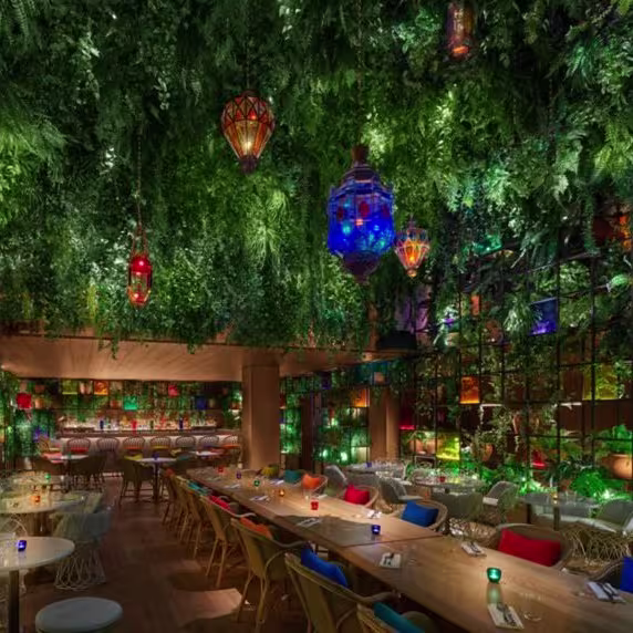 El ambiente vibrante de Oroya en Madrid destaca por su decoración exuberante y colorida, de luces y plantas que crean una atmósfera única.