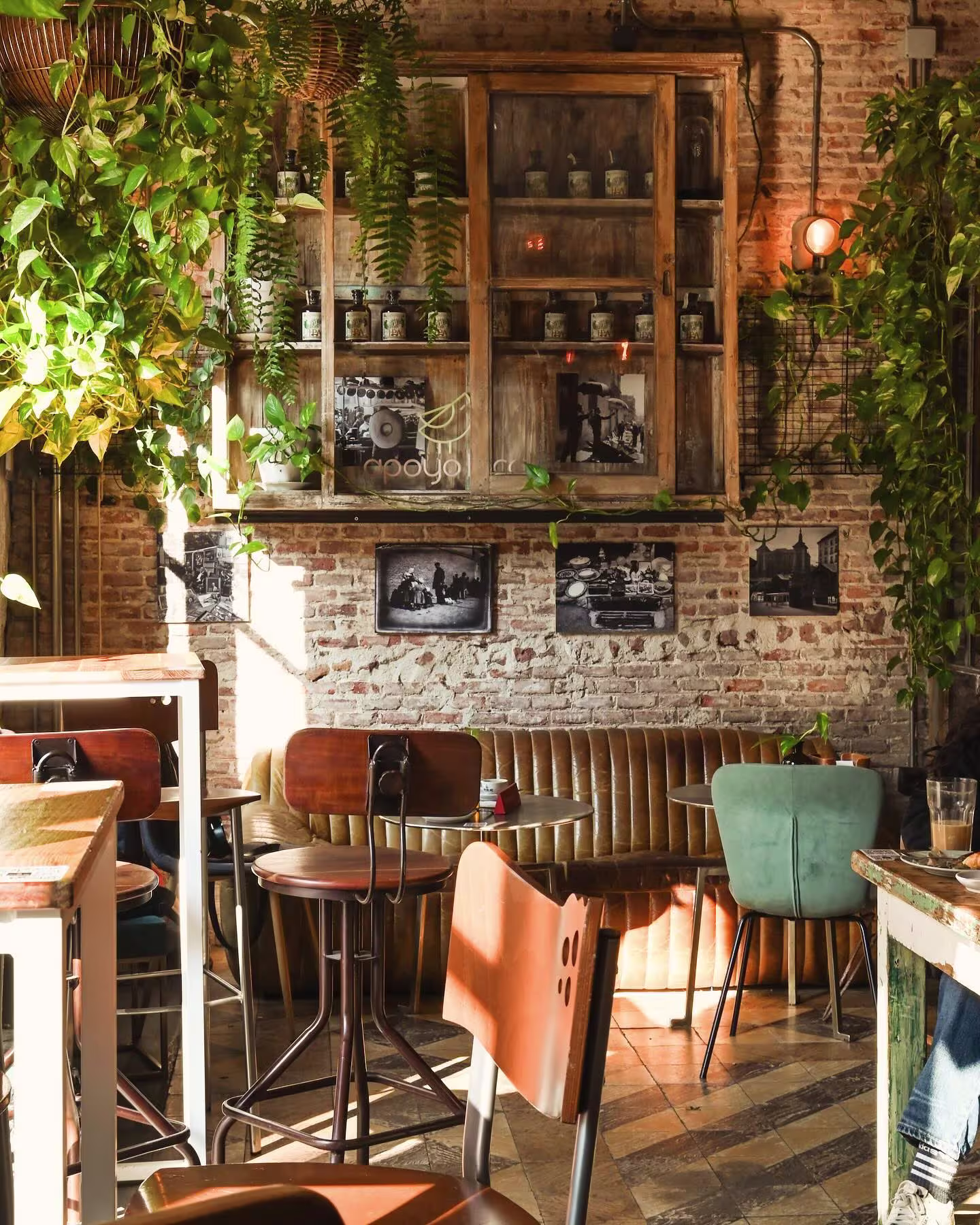 Café del Art es un rincón acogedor donde el estilo vintage, la luz natural y el verde se combinan para crear una atmósfera bohemia y relajada.