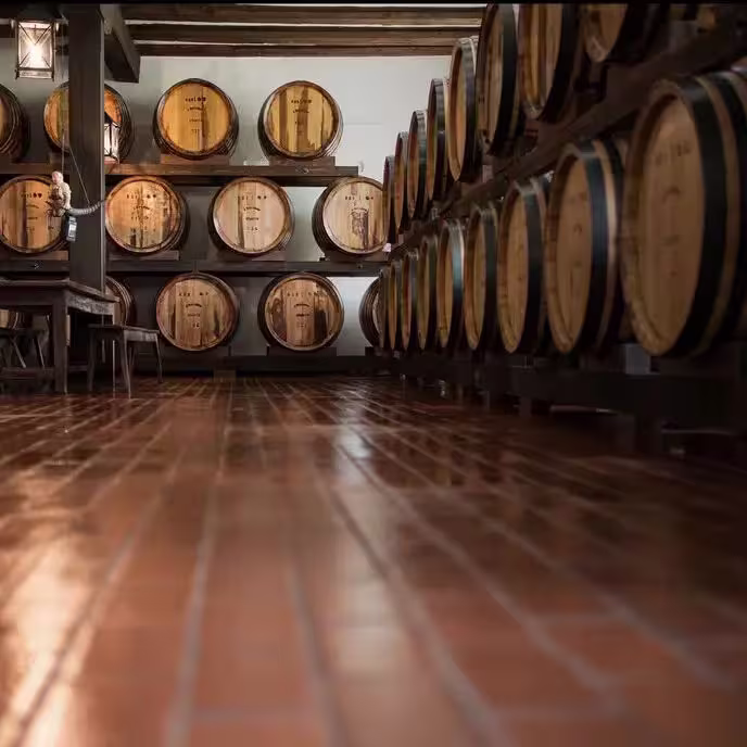 Granos de cebada para whisky.