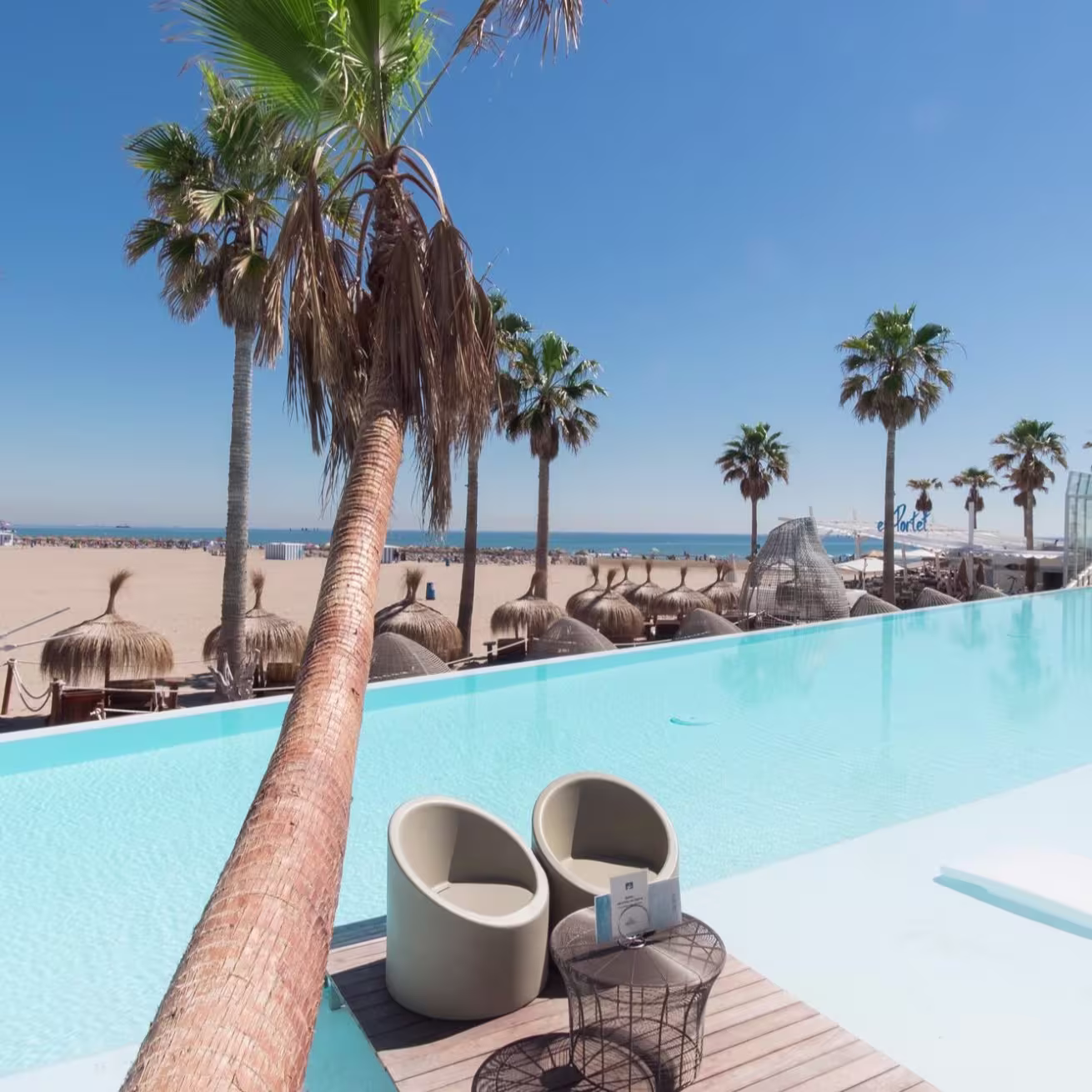Vista paradisíaca desde Marina Beach Club, con palmeras, piscina infinita y el Mediterráneo de fondo bajo un cielo azul impecable.