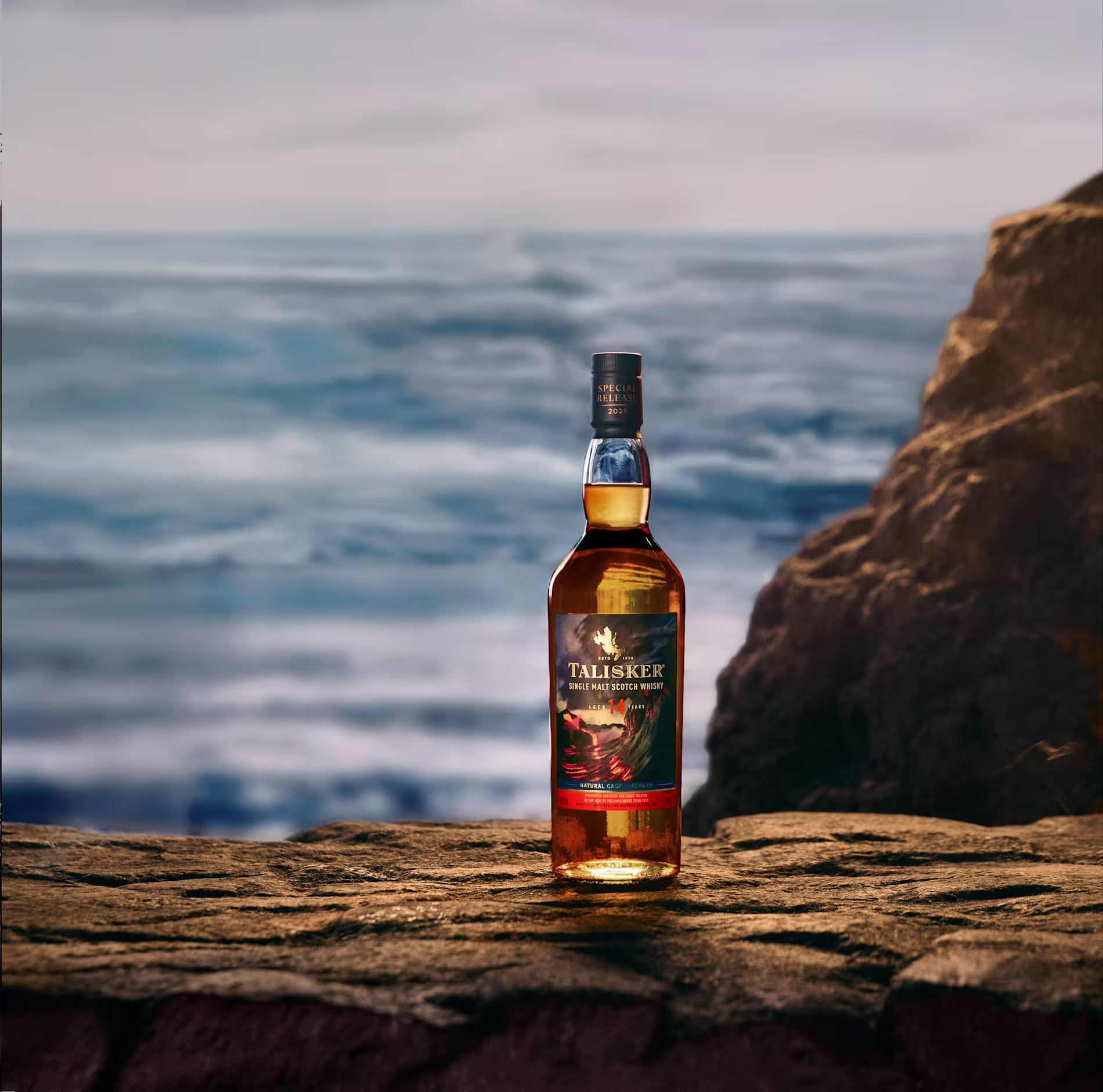 Talisker 14 Year Old