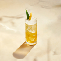 A tall glass filled with a yellow iced beverage, garnished with a pineapple leaf and a lemon slice, sits on a light surface next to a plant casting a shadow.