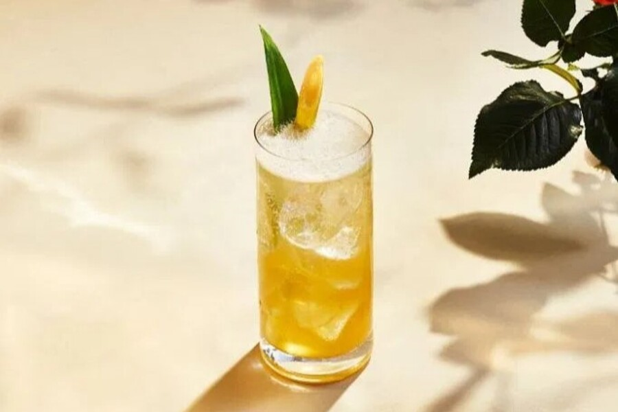 A tall glass filled with a yellow iced beverage, garnished with a pineapple leaf and a lemon slice, sits on a light surface next to a plant casting a shadow.