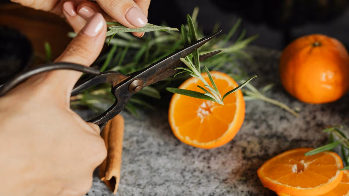 Scissors being used to cut up thyme and orange garnishes