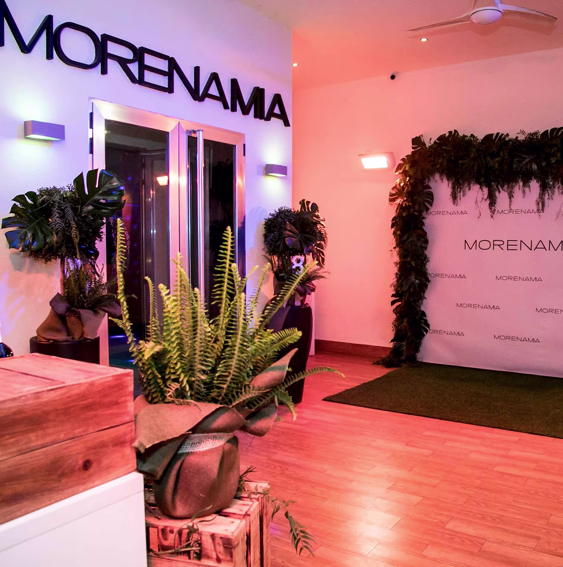 Morena Mía con entrada decorada con plantas y luces suaves, ofreciendo una bienvenida moderna y acogedora para una noche especial.