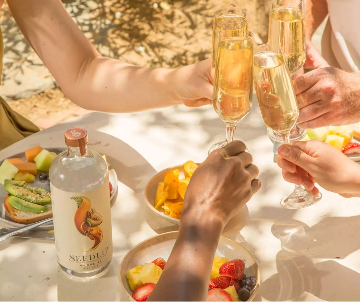 Four people clink champagne glasses over a table set with fruit plates, toast, and a bottle of Seedlip Grove 42.