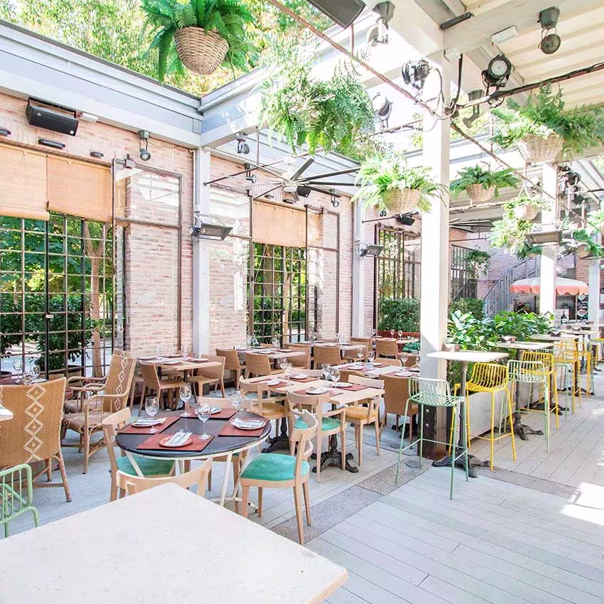 La foto muestra un área de comedor del Florida Park con varias disposiciones de asientos. Hay mesas de madera con sillas y algunos taburetes altos en la zona del bar. El entorno parece ser un patio o jardín con vegetación y plantas colgantes