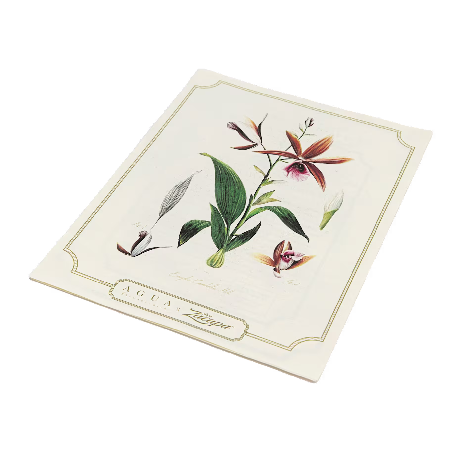 A vintage botanical print featuring an illustrated orchid with green leaves and red and white flowers, titled Agua Zagara.