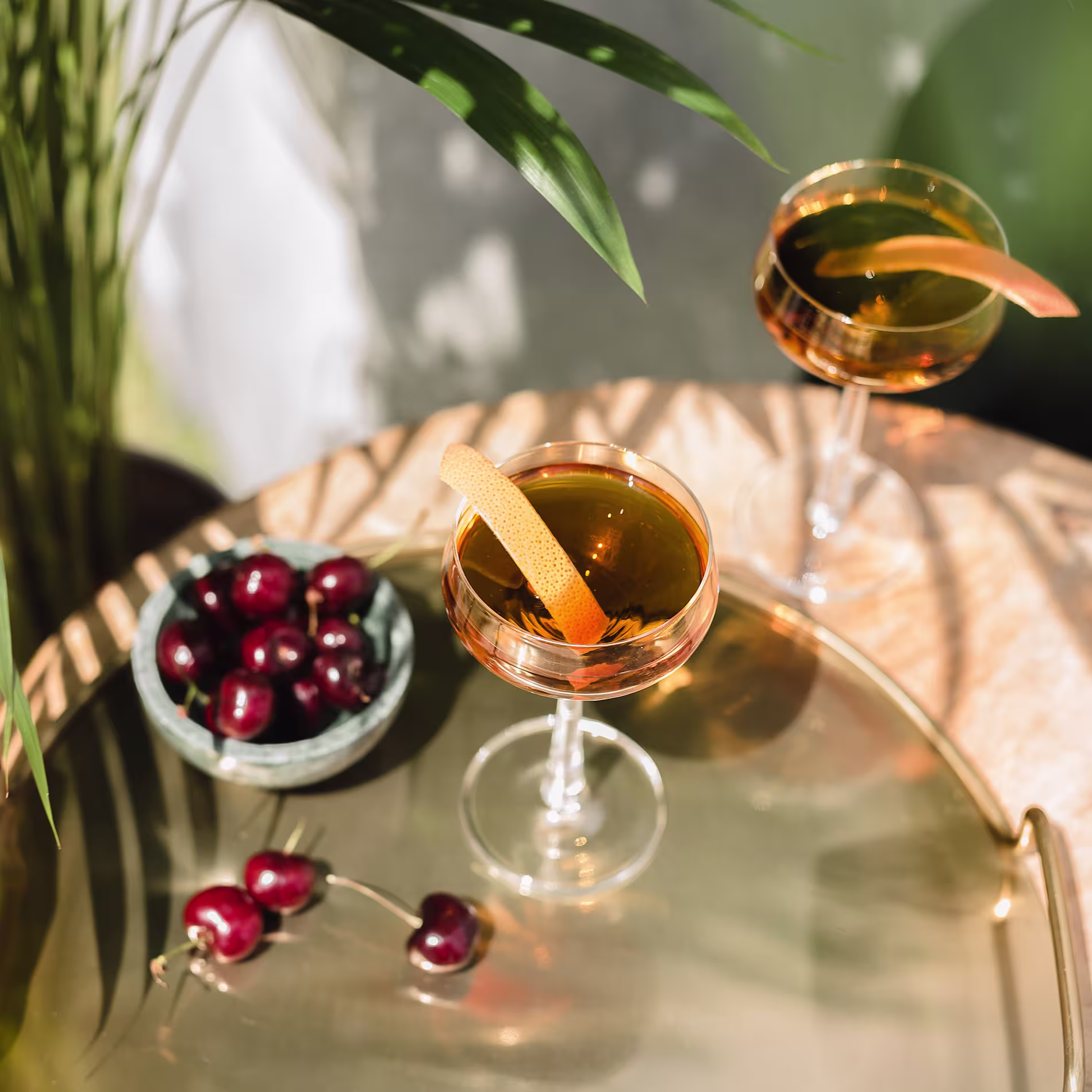 Two cocktails in coupe glasses in the sunshine next to a bowl of cherries and a green leafy plant.