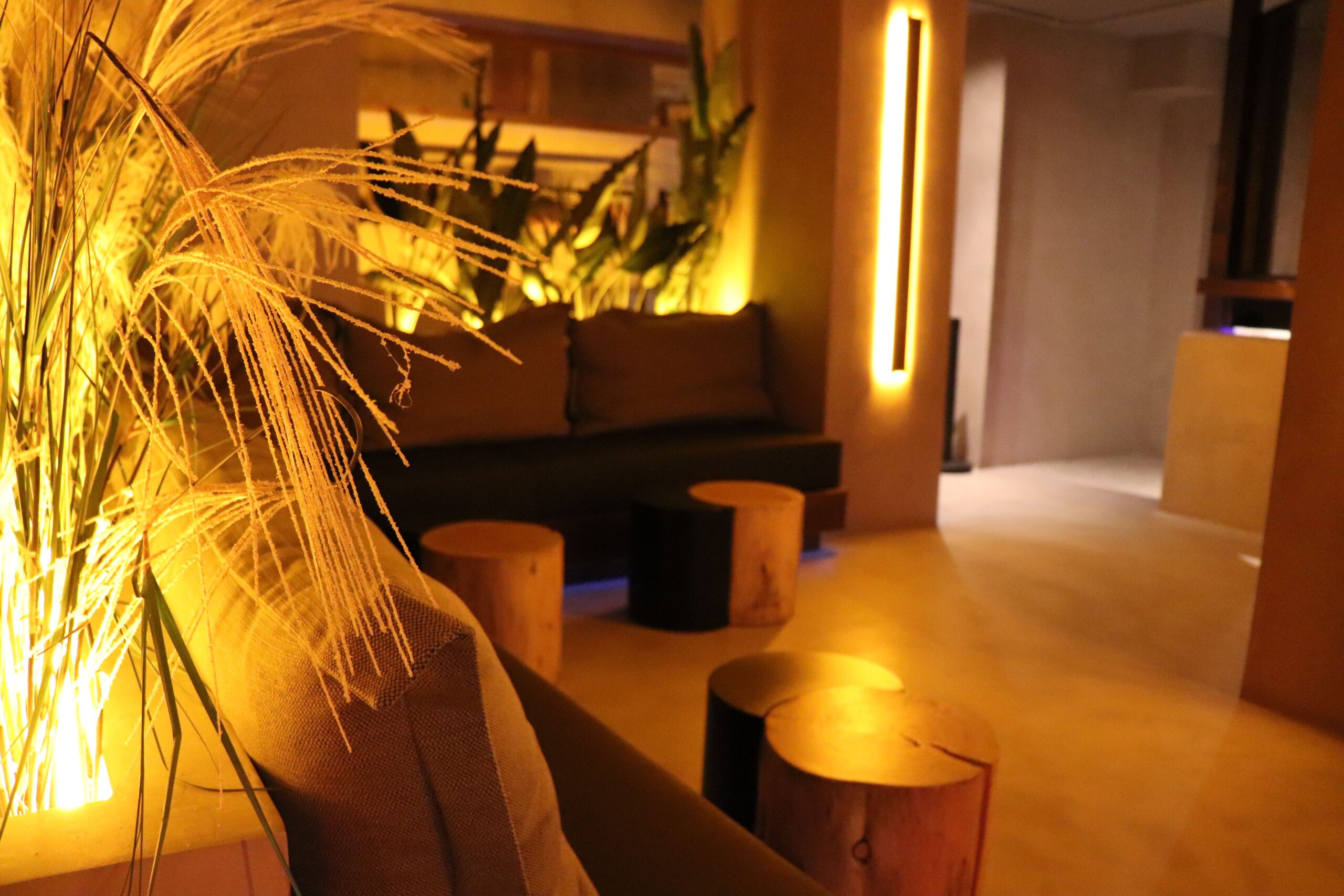Ambiente cálido y natural en Bulla, con decoración minimalista, iluminación tenue y detalles de madera, perfecto para cenas íntimas y cócteles.