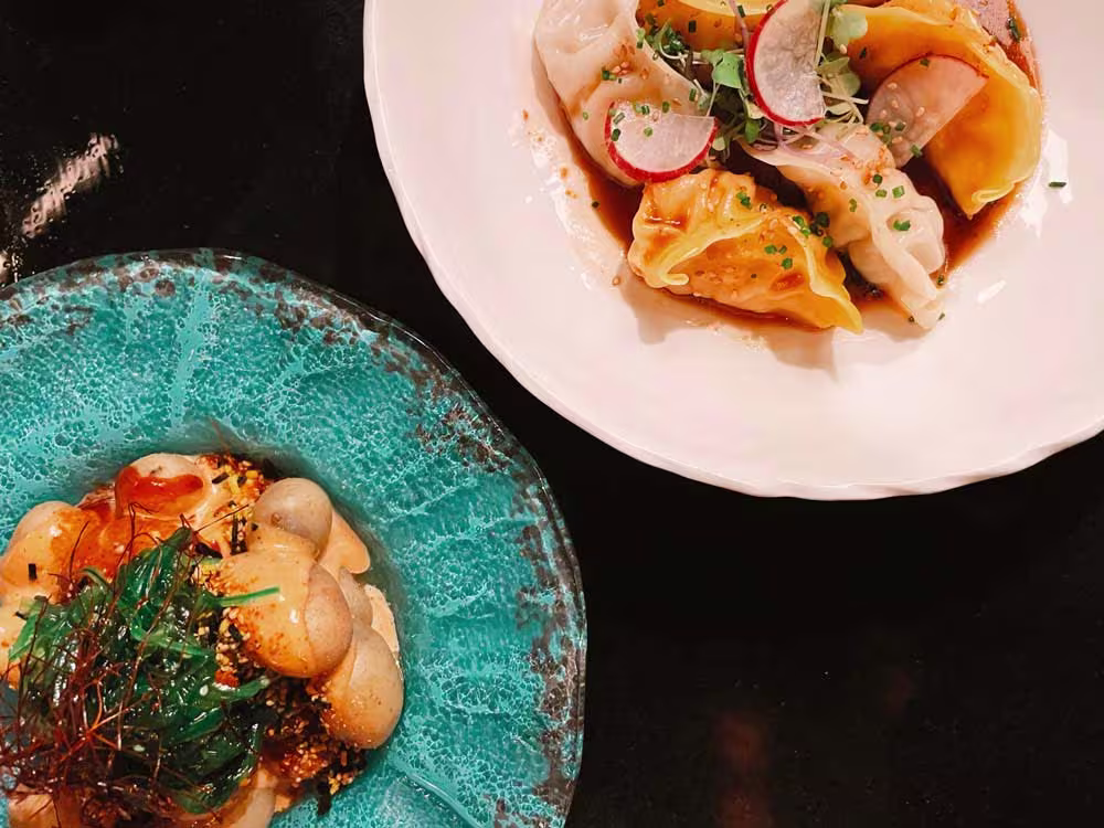Dumplings delicadamente servidos y un plato con toques orientales en vibrantes tonos, la esencia de la cocina de Bule Bule.