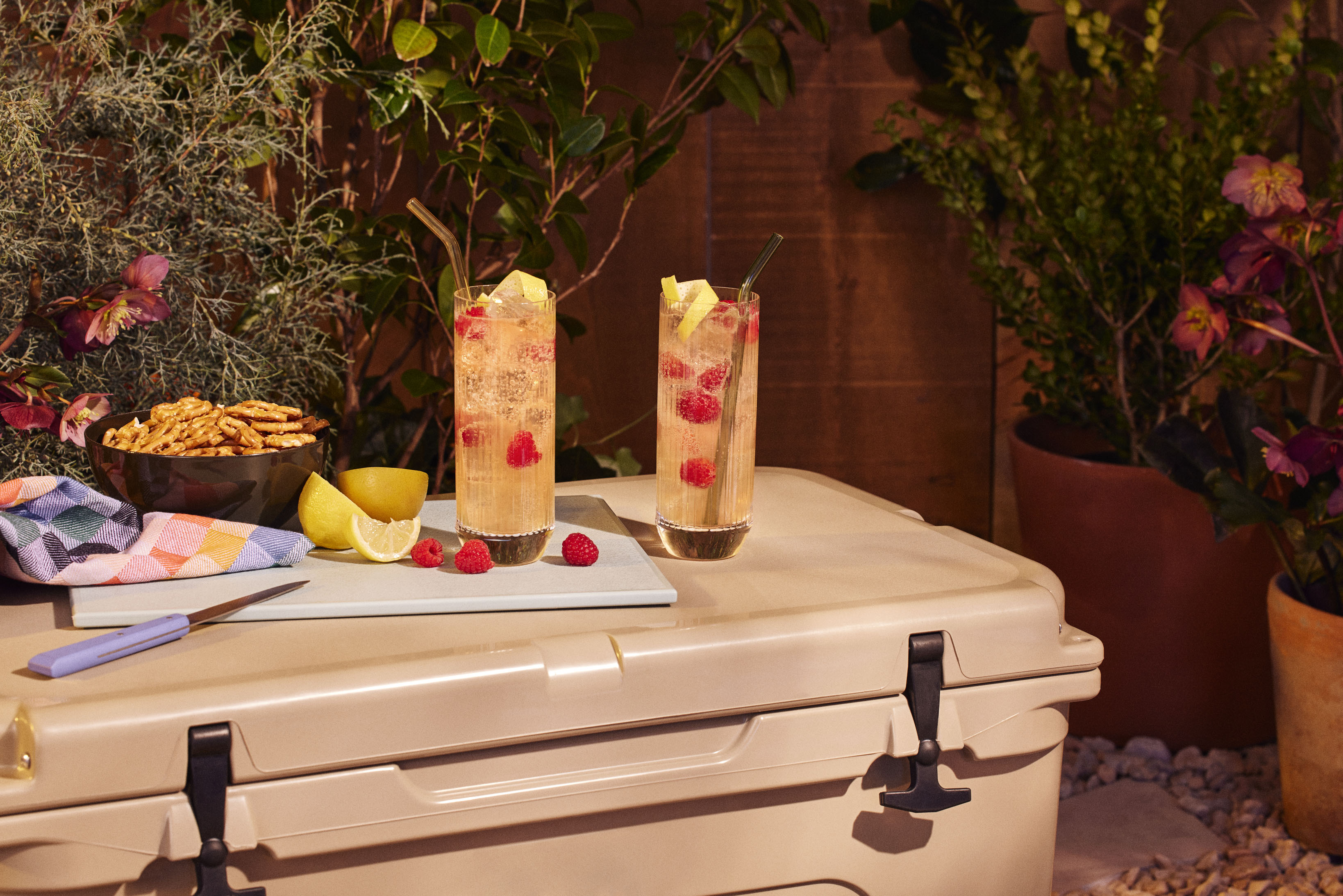 Two tall glasses of a light-colored drink with raspberries and lemon slices sit on a cooler next to a cutting board with snacks, a knife, lemon, and a towel; plants in the background.