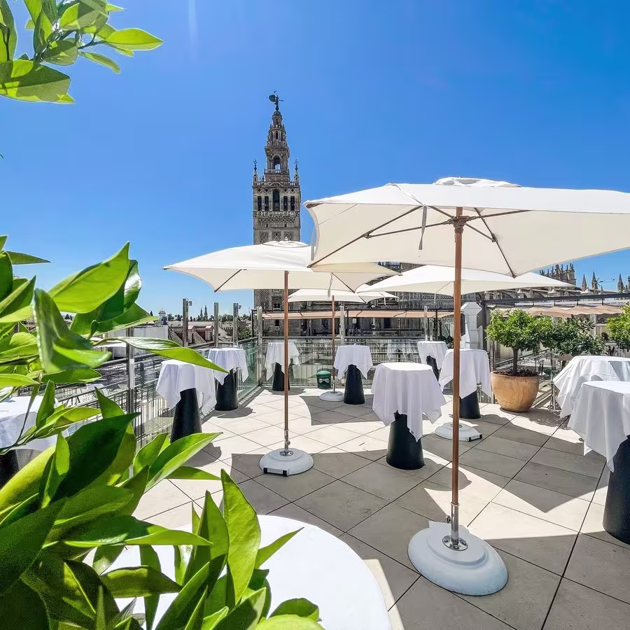 La Terraza del EME ofrece vistas privilegiadas a la Giralda entre plantas, sombra y elegancia. Un rooftop para brindar con Sevilla a los pies.