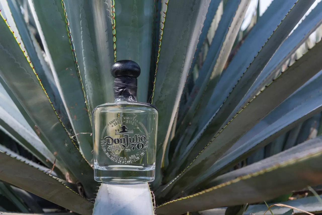 A bottle of Don Julio 70 tequila is placed upright on a large agave plant with pointed green leaves spreading out behind it.