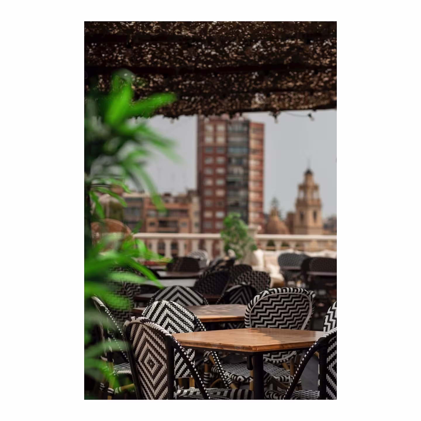 Blanq Terrassa ofrece una vista de postal al corazón de Valencia, con una terraza acogedora y sillas que invitan a alargar la sobremesa entre plantas y brisa.