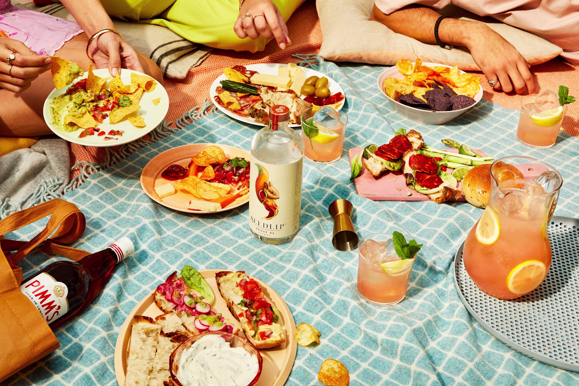 Outdoor picnic with food, snacks, and a bottle of Wildlife drink on a blue checkered blanket.