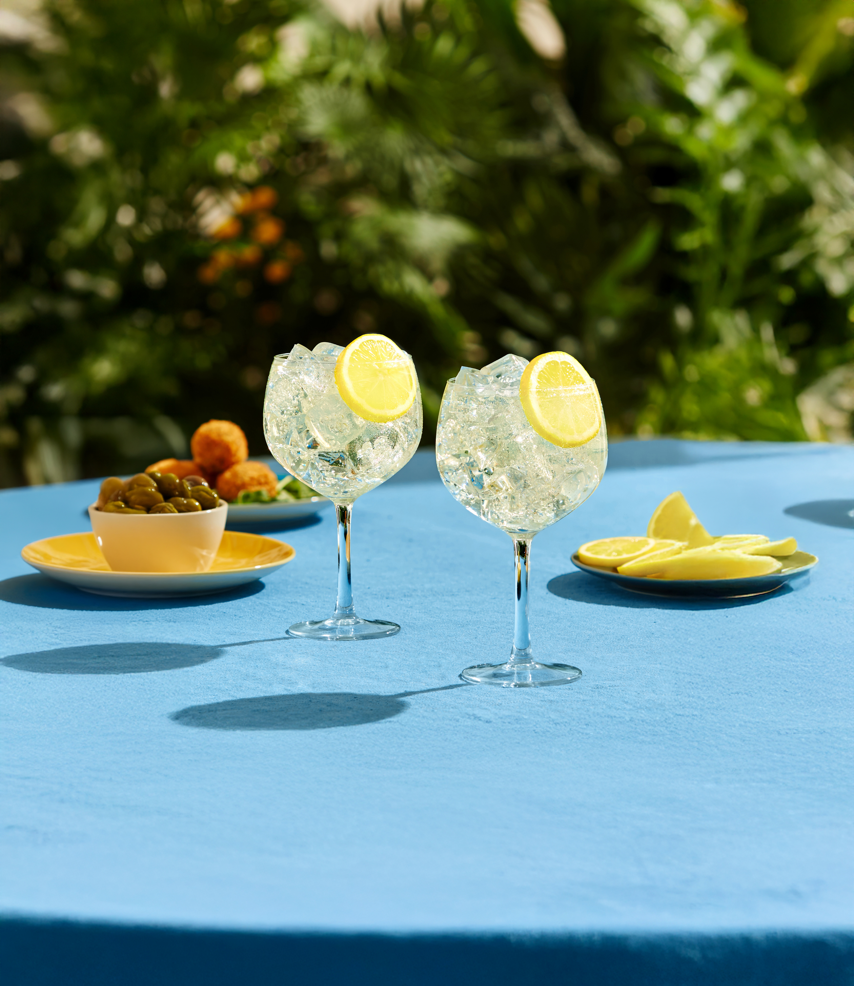 Gin & Bitter Lemon cocktail in a glass with lemon slice.