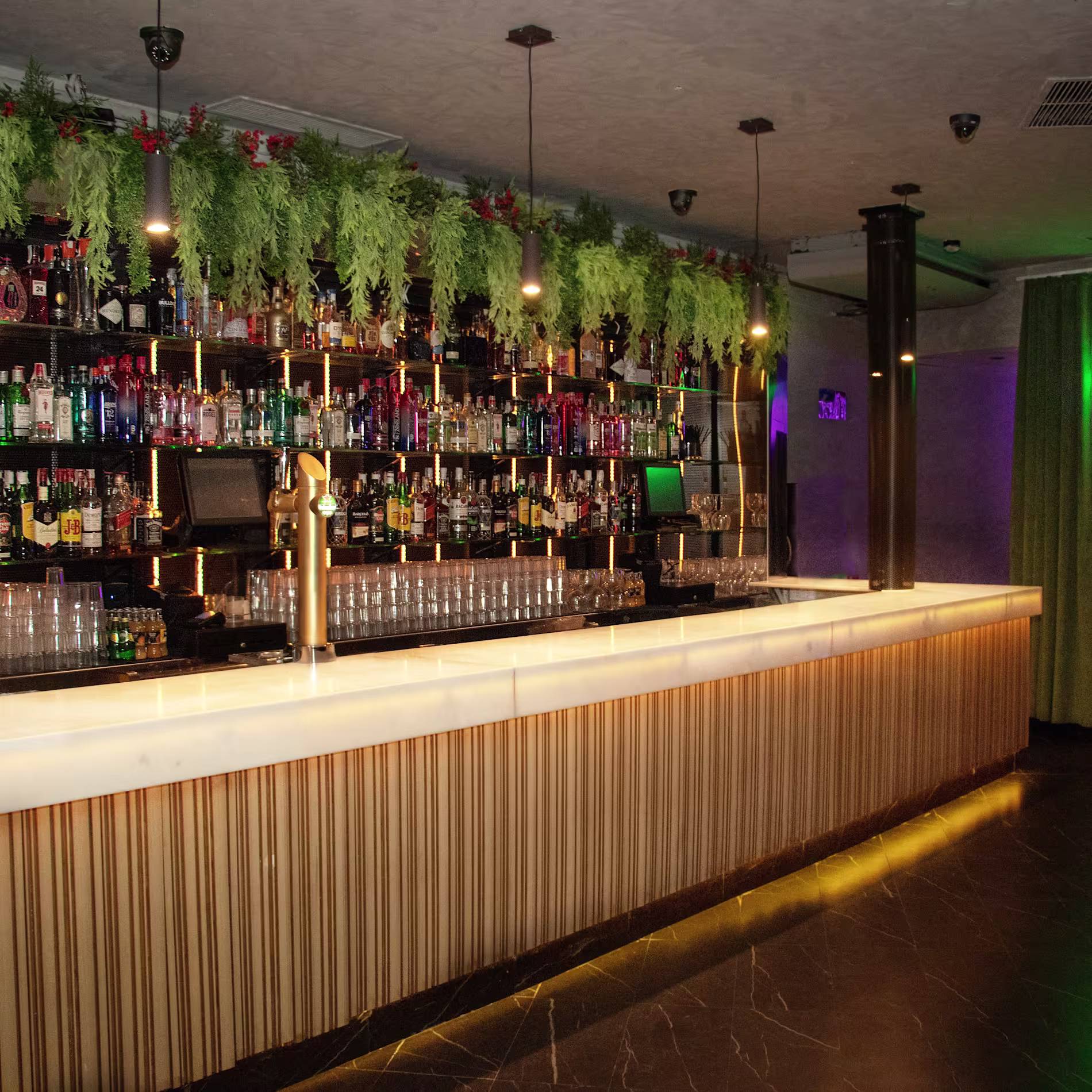 The Bar | Sala Jerusalem - Primer plano de la barra, destacando la amplia variedad de botellas y la decoración de plantas colgantes sobre la superficie.