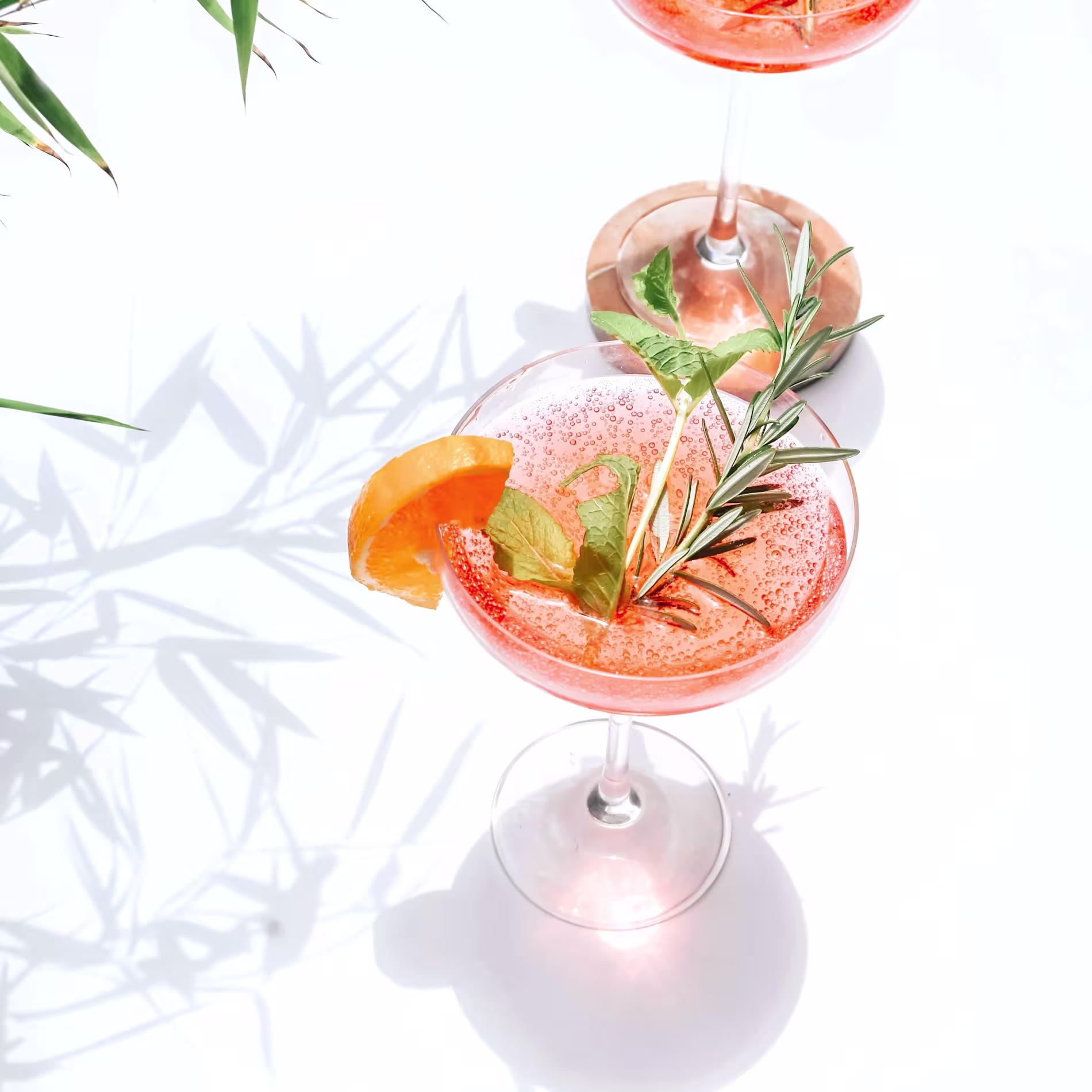 A pink cocktail in a coupe glass garnished with an orange slice, mint, and rosemary, placed on a white surface with plant shadows.