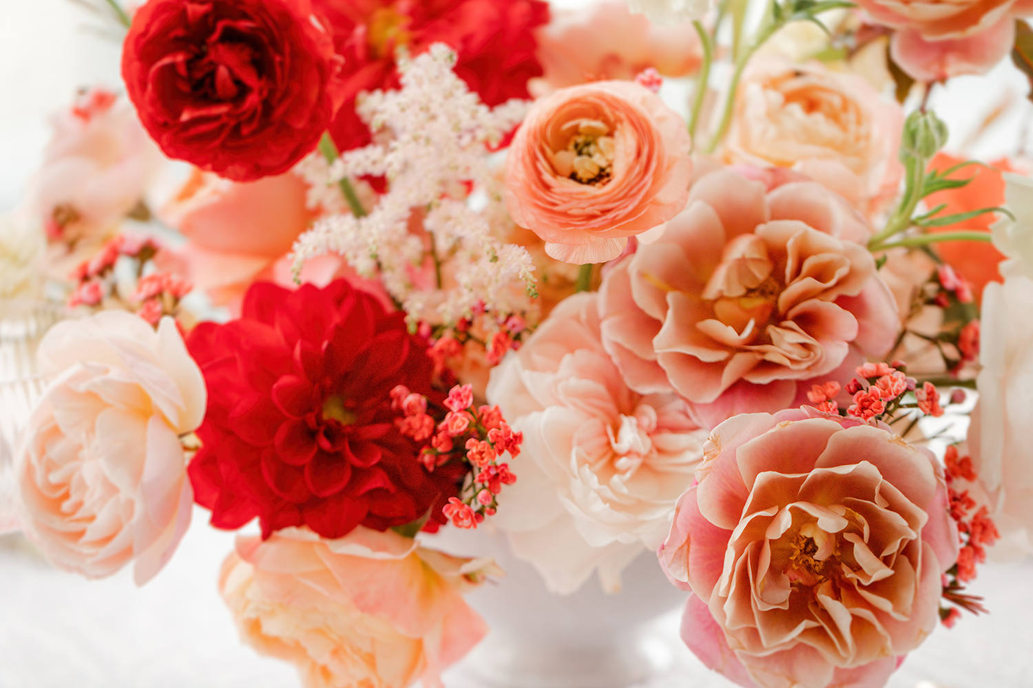 Close-up of peach garden roses, coral ranunculus, and red blooms