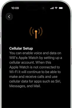 Cellular setup screen