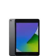 iPad mini (5e génération)