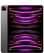 iPad Pro 12,9 po (6ᵉ génération)