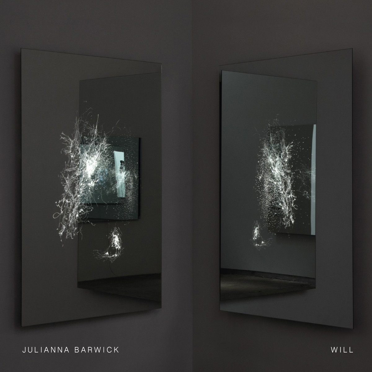 Offical album artwork of "Will" by Julianna Barwick.