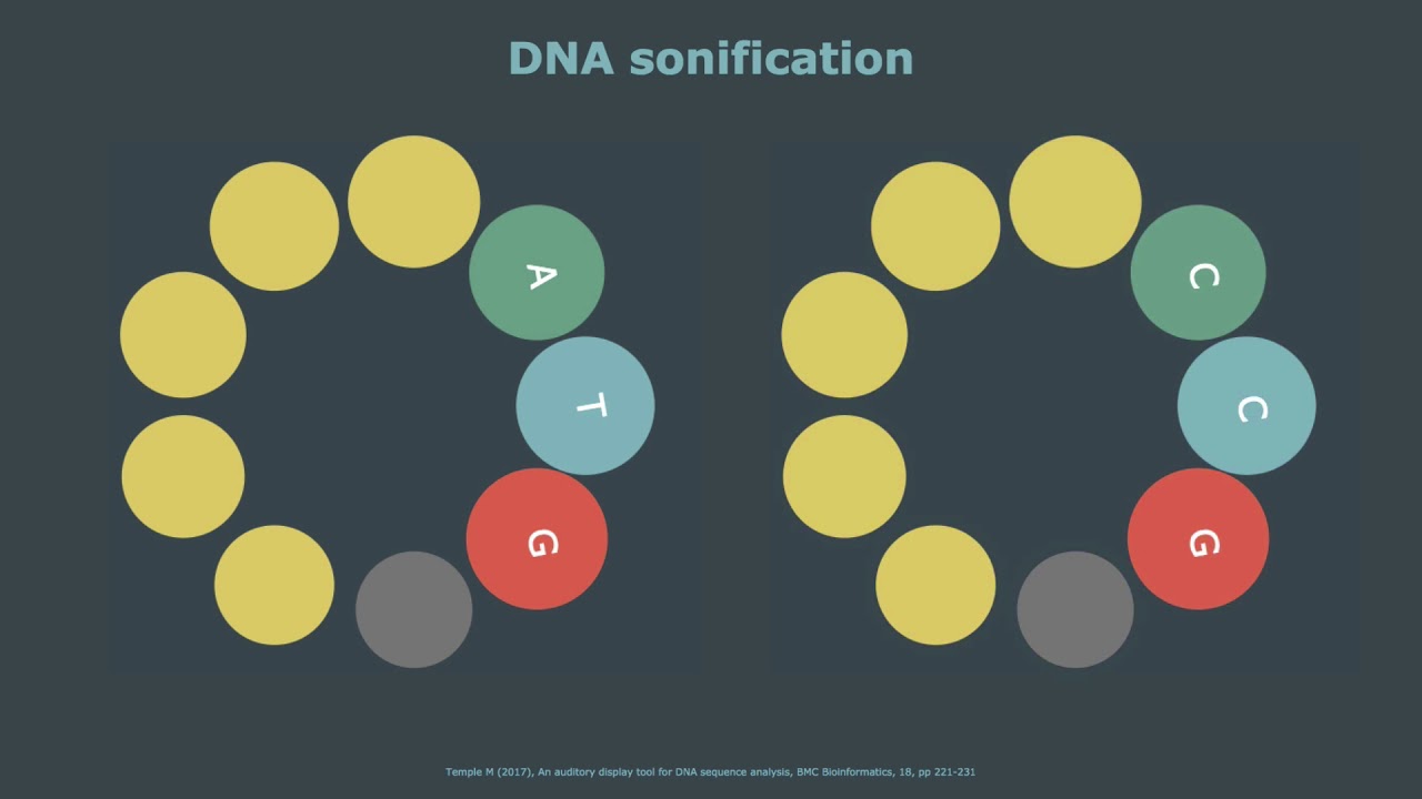 Mark Temple's depiction of DNA sonification.