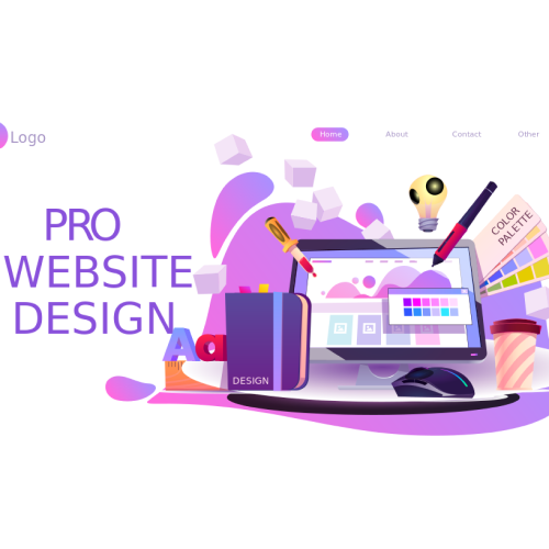 PRO Website Design Package