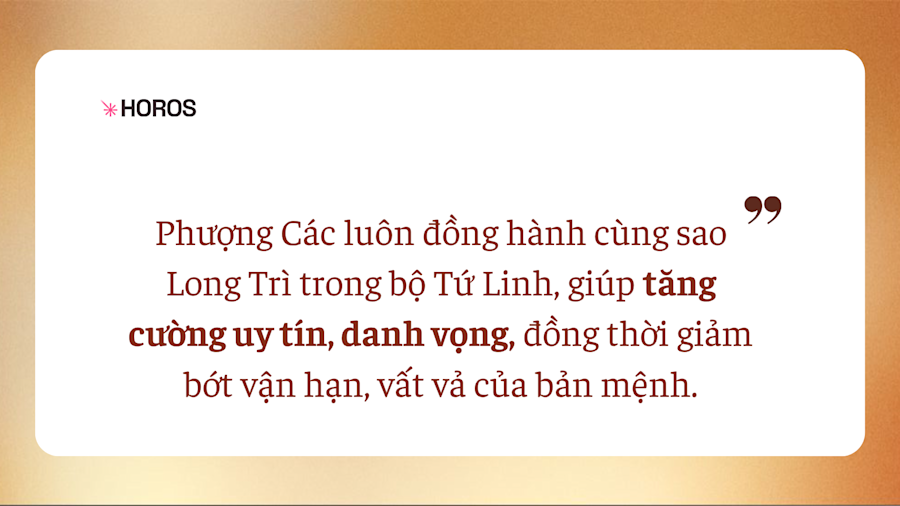 Sao Phượng Các - Ngôi Sao May Mắn Và Thanh Cao 1