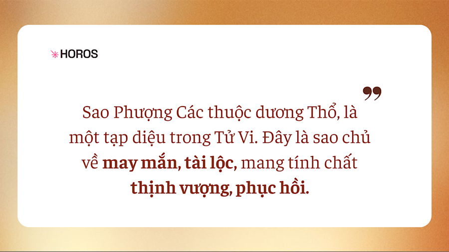 Sao Phượng Các - Ngôi Sao May Mắn Và Thanh Cao