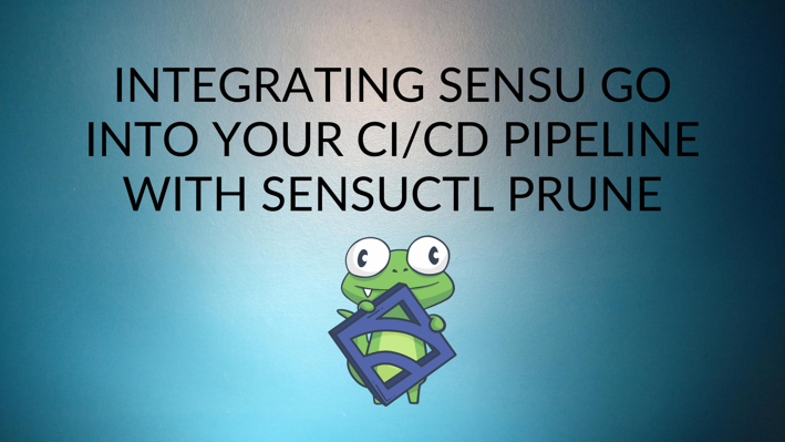 Integrating Sensu Go into your CI_CD pipeline with sensuctl prune (1)